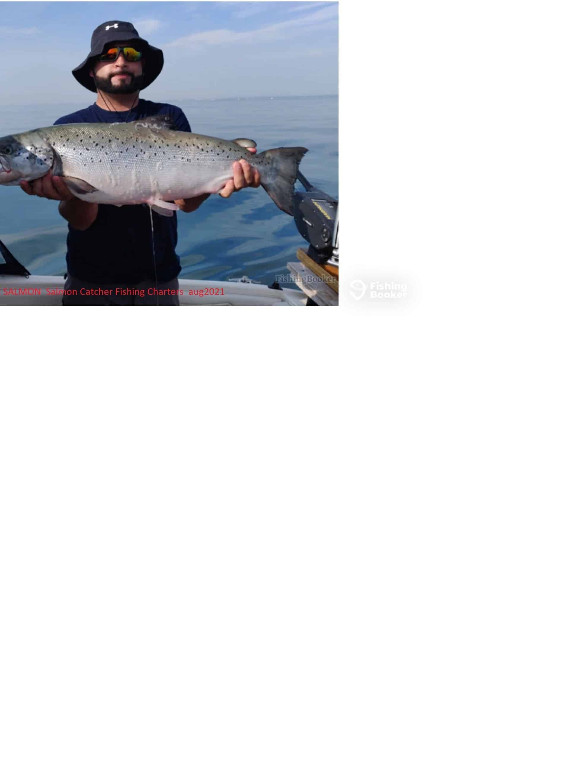 Salmon Catcher Fishing Charter , Lake Ontario, Toronto