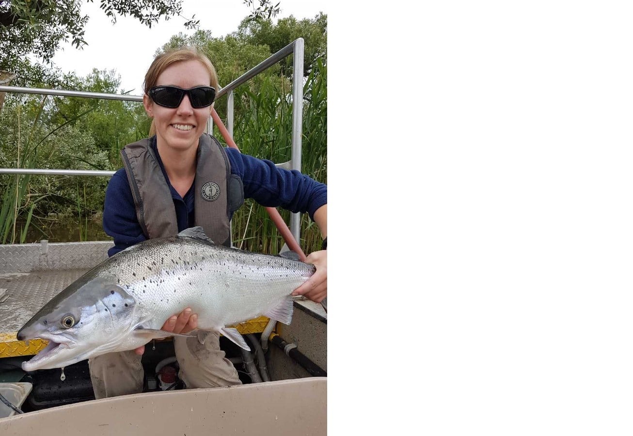 Salmon Catcher Fishing Charter , Lake Ontario, Toronto