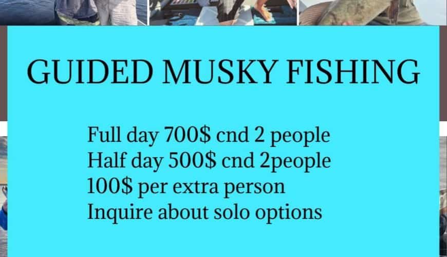 Musky fishing Guide