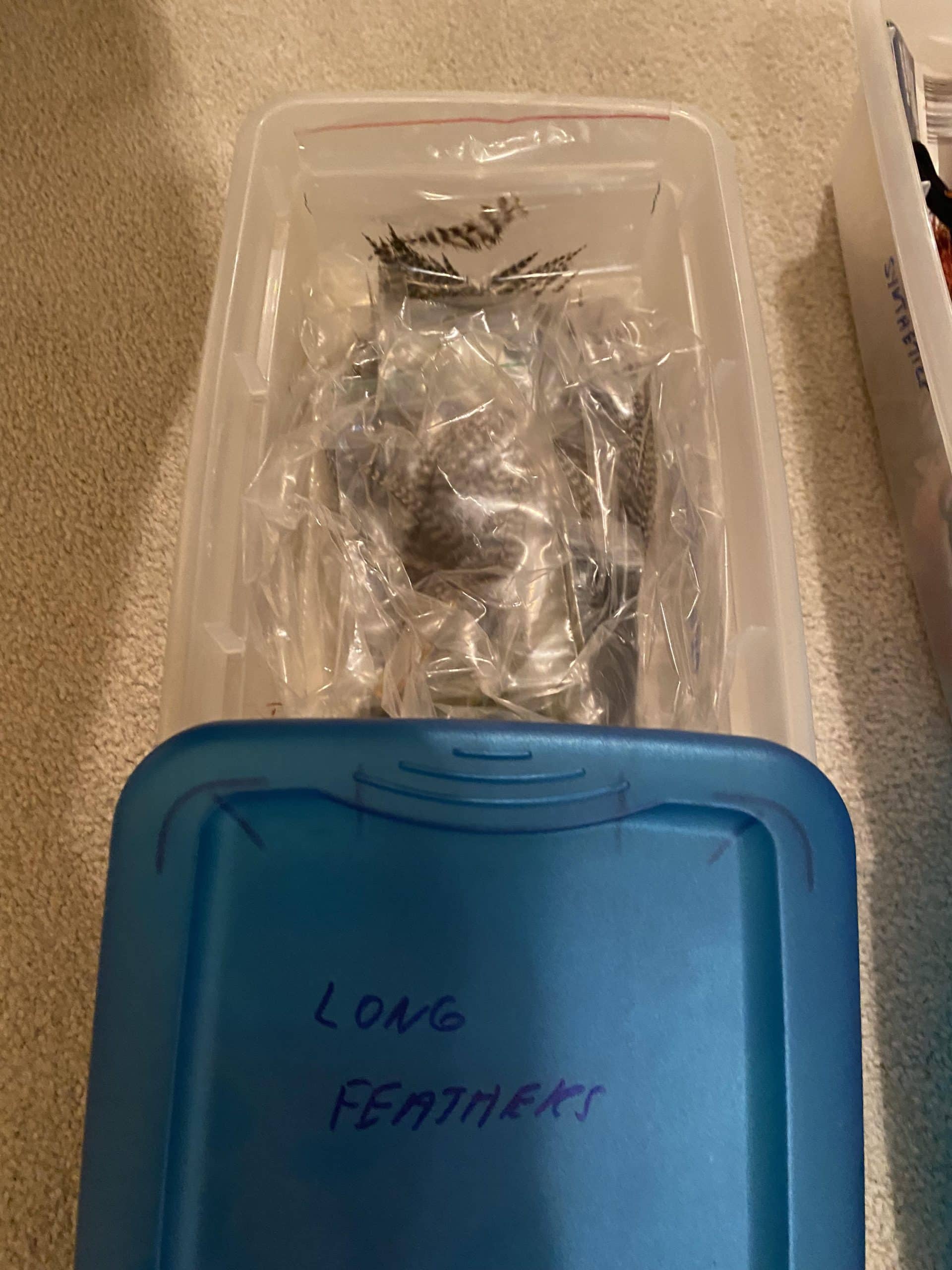 LURE STUFF – TONS OF IT