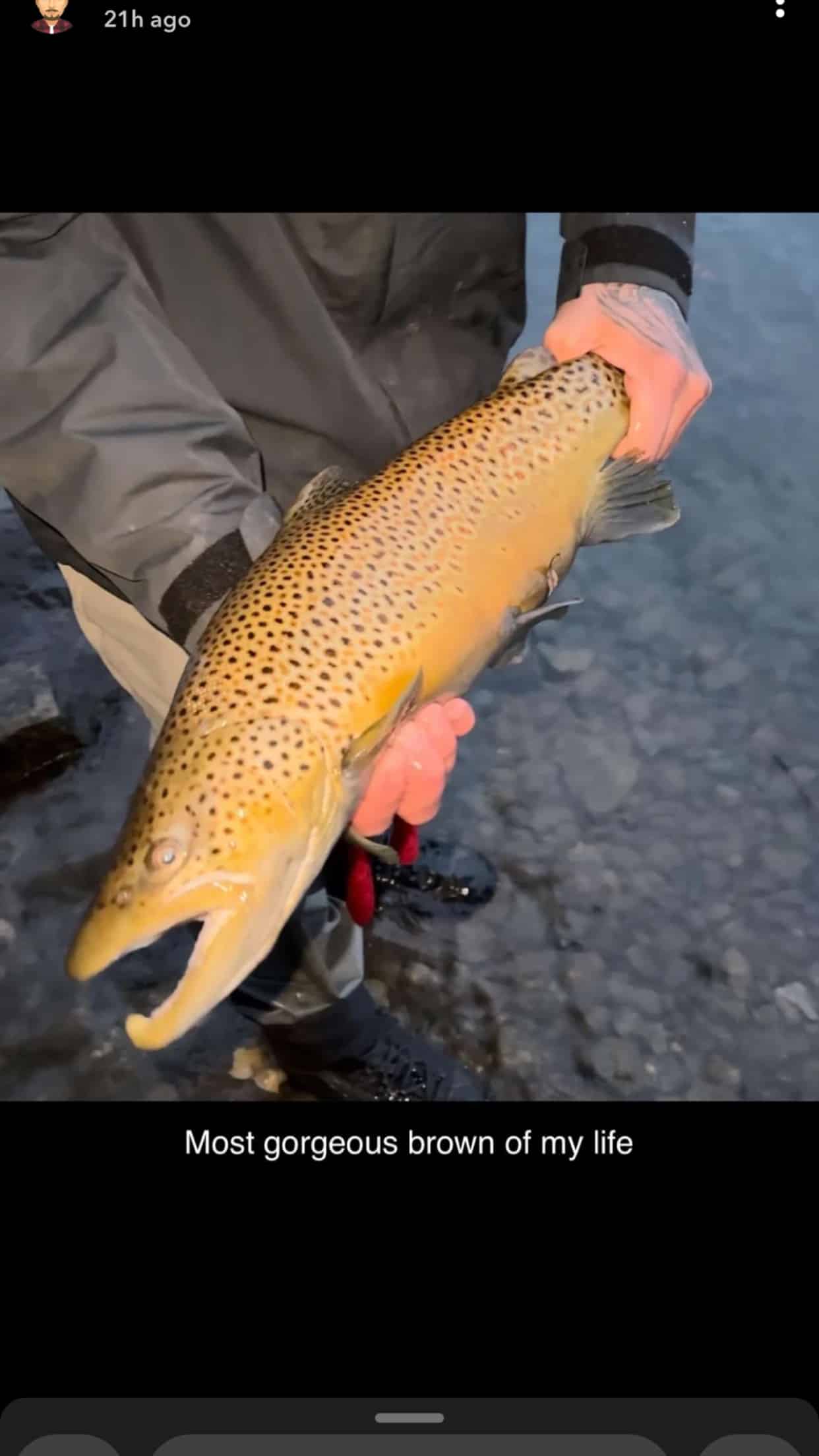 Guided river fishing trips