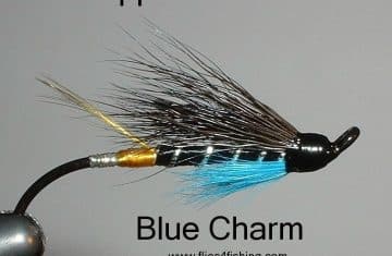 Blue-Charm