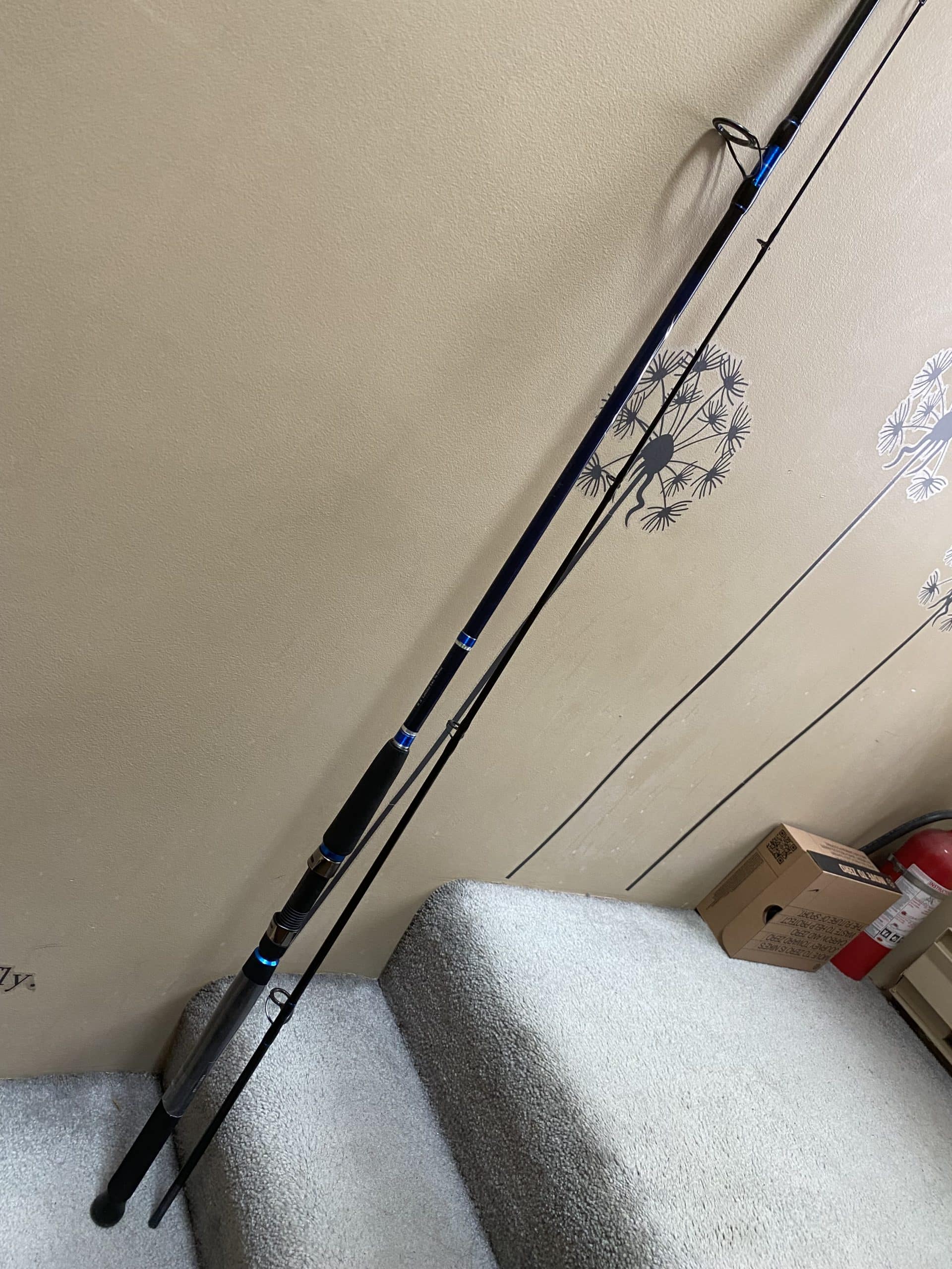 Daiwa 9′ Fishing Rod and Reel for Salmon and Big Fishes