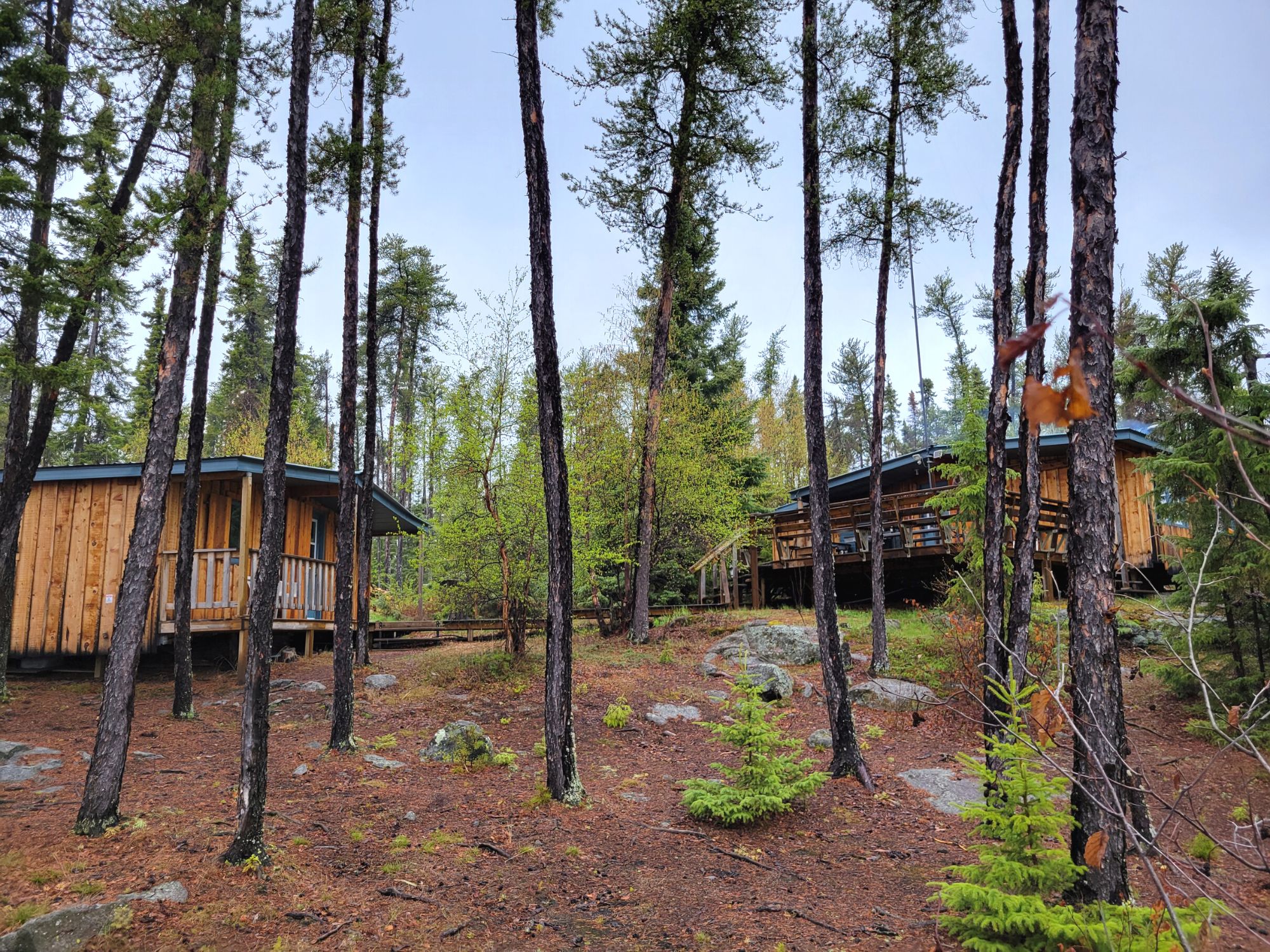 Haskins Bay 2025 Fly-In Fishing Packages