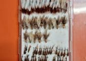 Bulk Flyfishing Flies