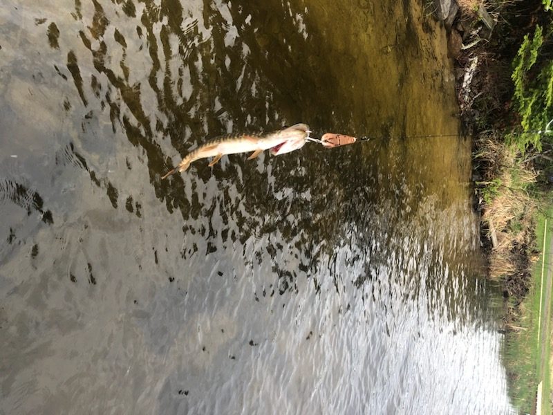 What’s in your tacklebox?