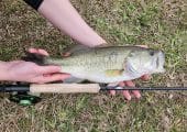 Brand New 9’6″ 6wt Fly Rod, Medium-Fast Action, 4-Piece