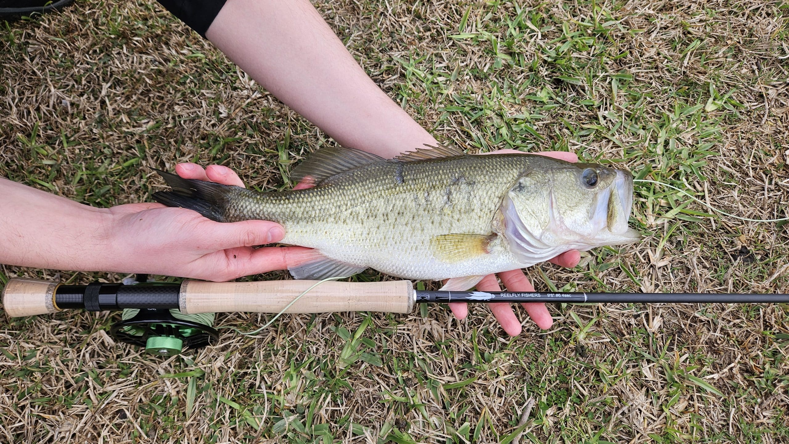 Brand New 9’6″ 6wt Fly Rod, Medium-Fast Action, 4-Piece