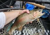 Brand New CNC-Machined 6wt Fly Reel – w/ Fly Line & Backing