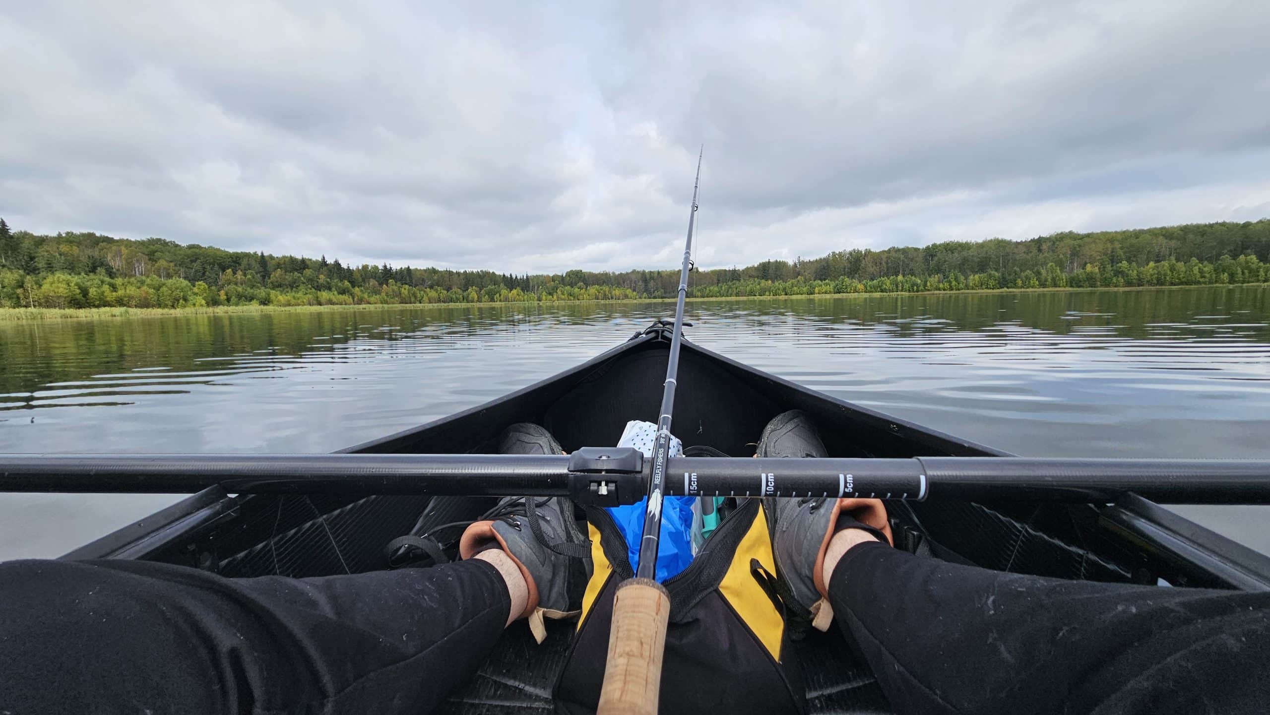 Brand New 9’6″ 6wt Fly Rod, Medium-Fast Action, 4-Piece