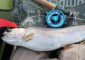 Brand New CNC-Machined 6wt Fly Reel – w/ Fly Line & Backing